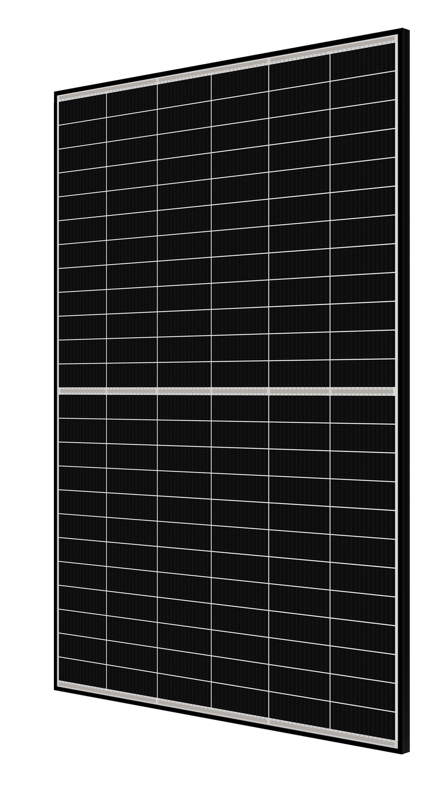 MODULO CANADIAN BLACK FRAME